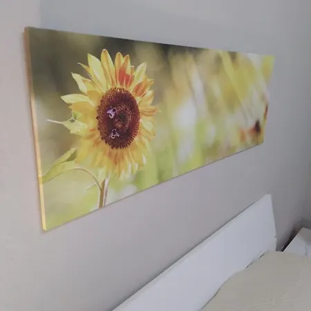 Girasole House